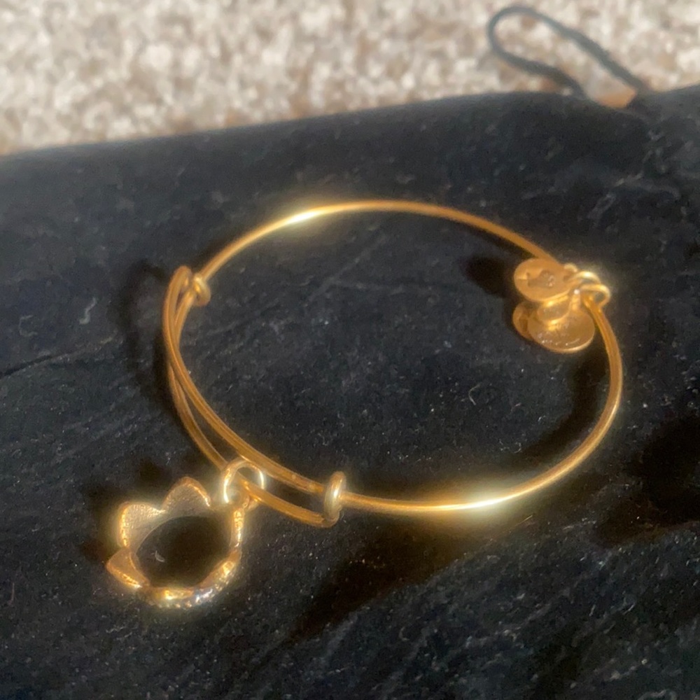 Alex and Ani bracelet